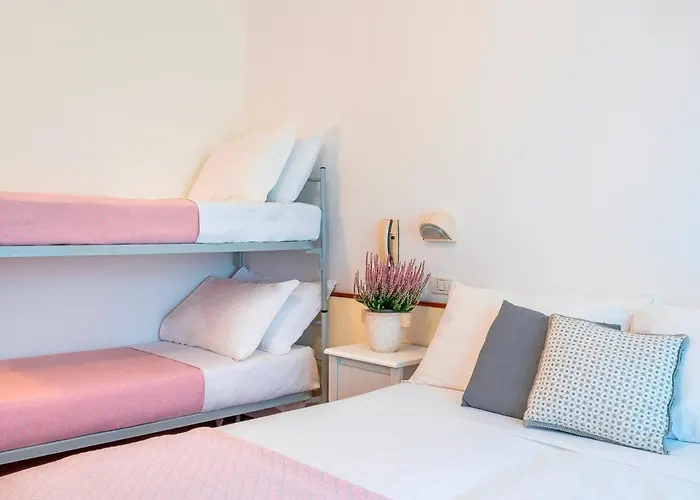 Mon 미사노아드리아티코