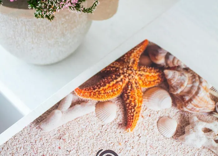 Mon 미사노아드리아티코